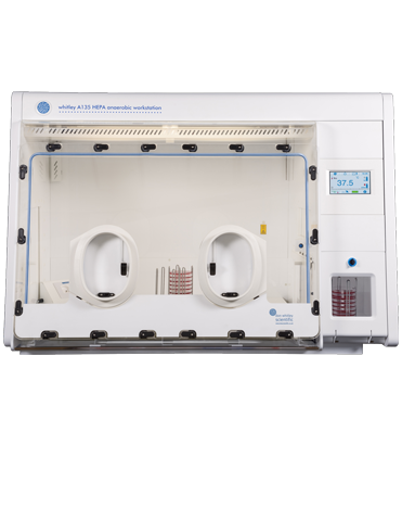 Whitley A135 HEPA Workstation